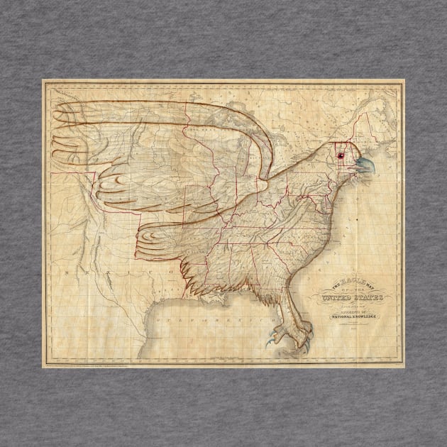 Vintage United States Eagle Map (1833) by Bravuramedia